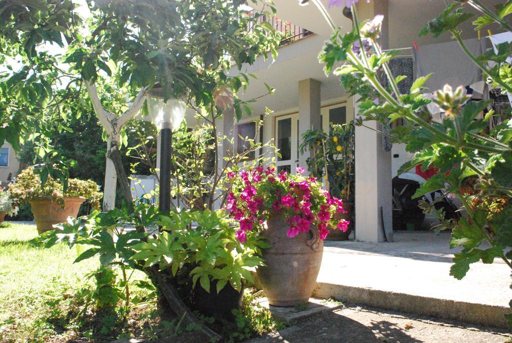 Vila Parte Di Casa Con Giardino E Piscina Pietrasanta Exteriér fotografie